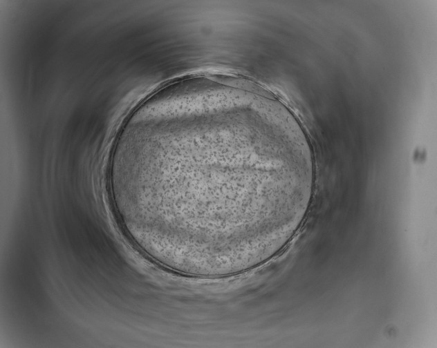 X0000102460001200808221630