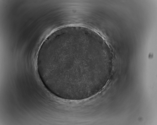 X0000102460002200808221630