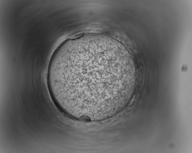 X0000102460003200808221630