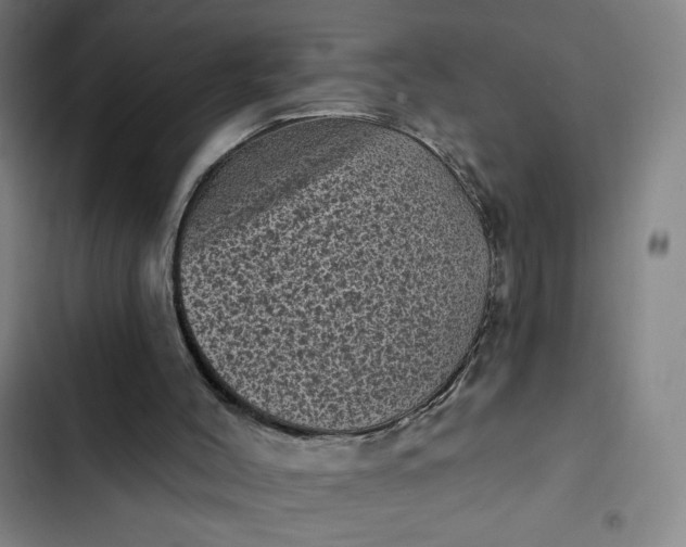 X0000102460004200808221630