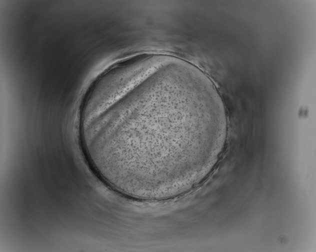 X0000102460005200808221630