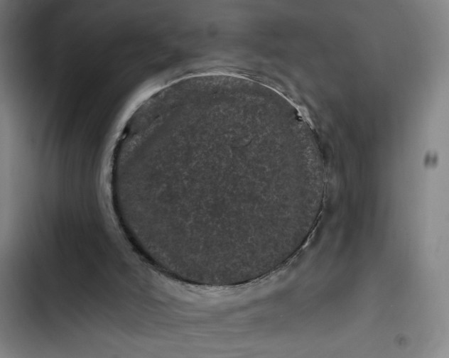 X0000102460006200808221630