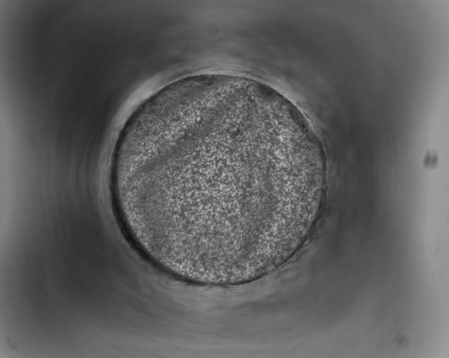 X0000102460007200808221630