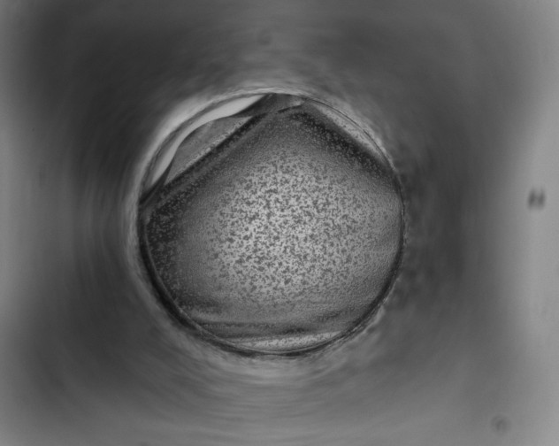 X0000102460008200808221630