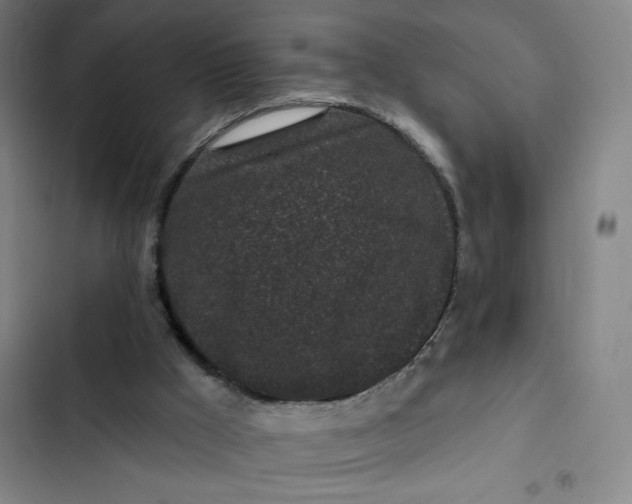 X0000102460009200808221630