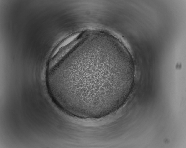 X0000102460010200808221630