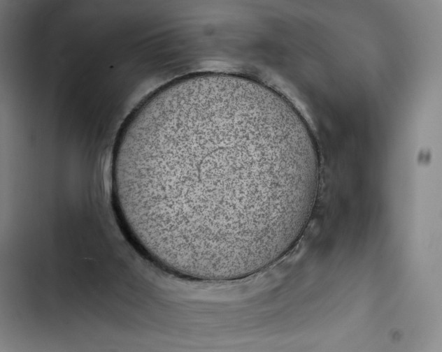 X0000102460011200808221630