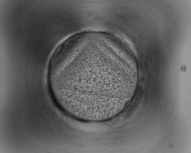 X0000102460012200808221630