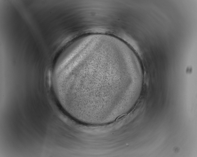 X0000102460013200808221630