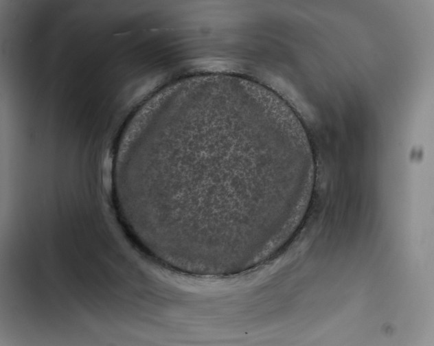 X0000102460014200808221630