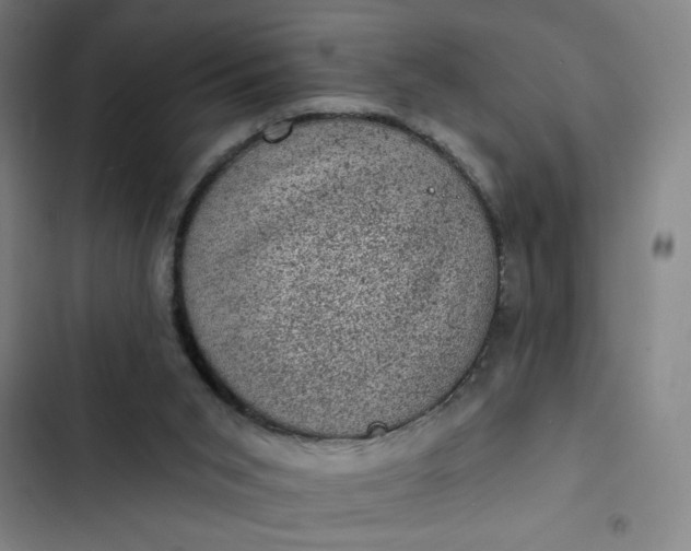 X0000102460015200808221630