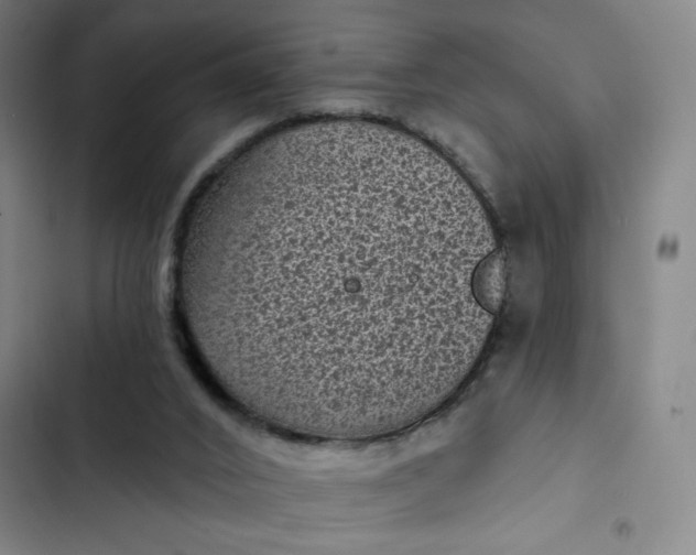 X0000102460016200808221630