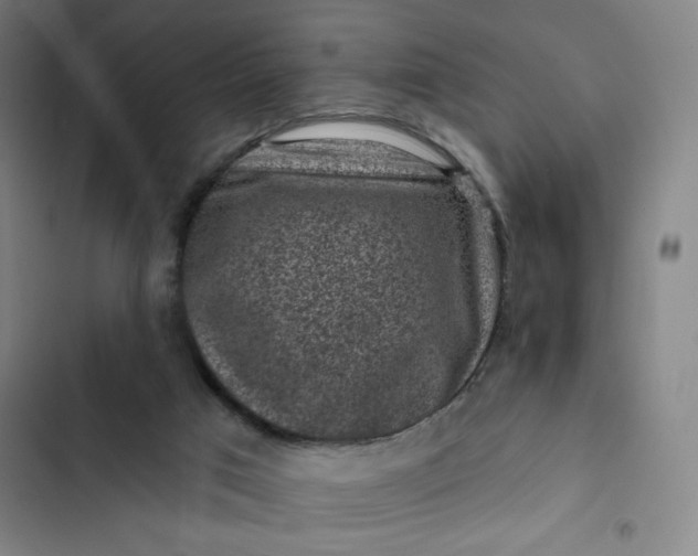 X0000102460017200808221630