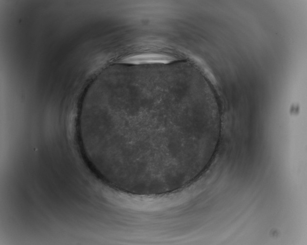 X0000102460018200808221630