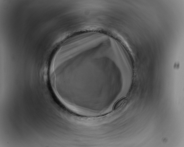 X0000102460019200808221630