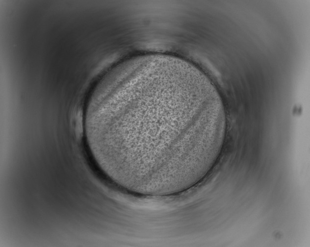 X0000102460020200808221630