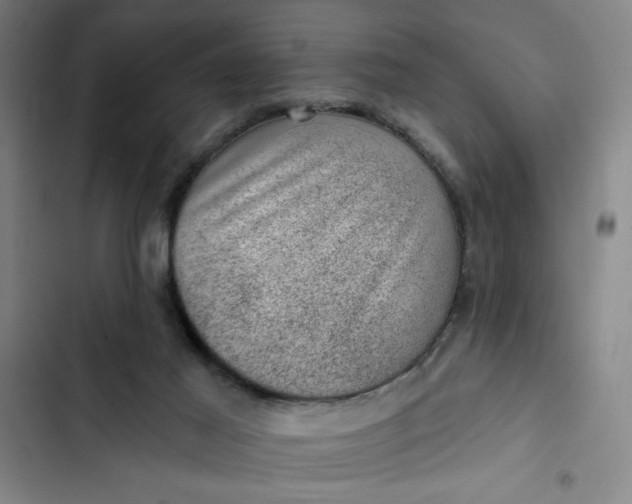 X0000102460021200808221630