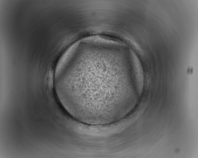 X0000102460022200808221630