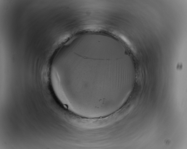 X0000102460023200808221630