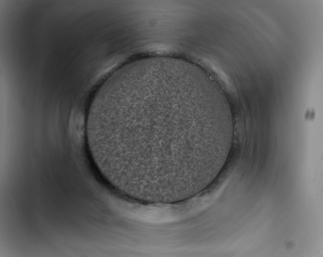 X0000102460024200808221630