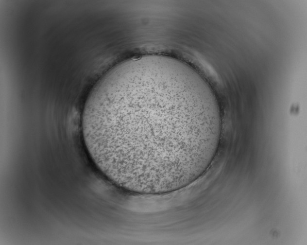 X0000102460025200808221630