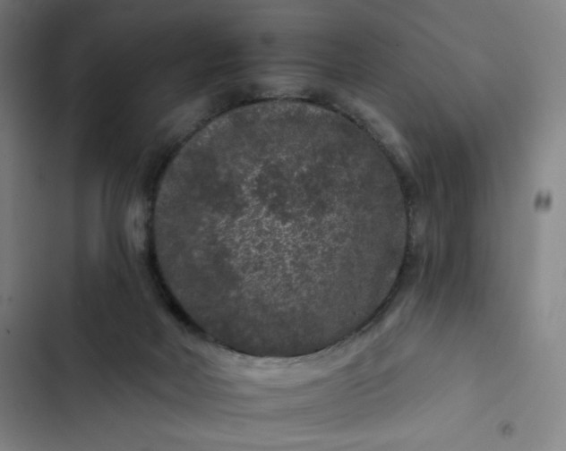 X0000102460026200808221630