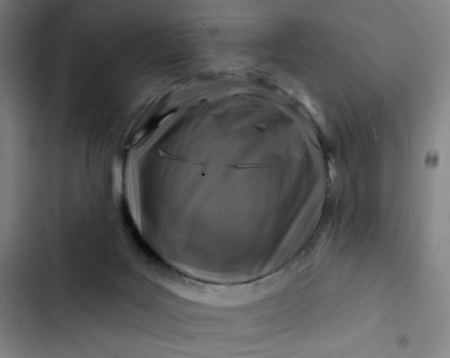 X0000102460027200808221630