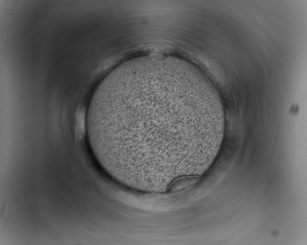 X0000102460028200808221630