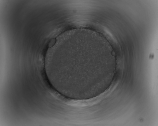 X0000102460029200808221630