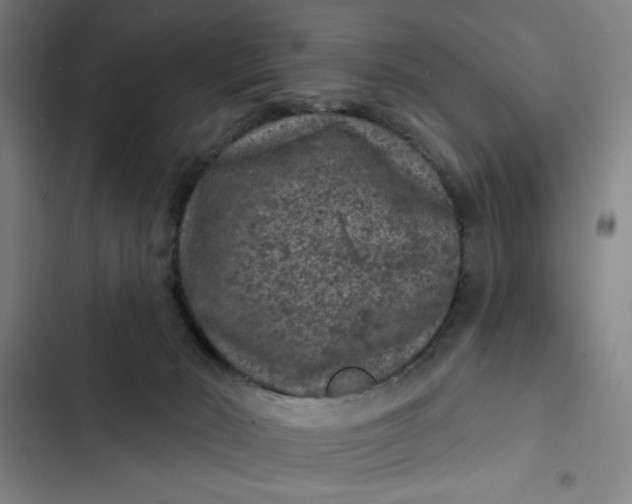 X0000102460030200808221630