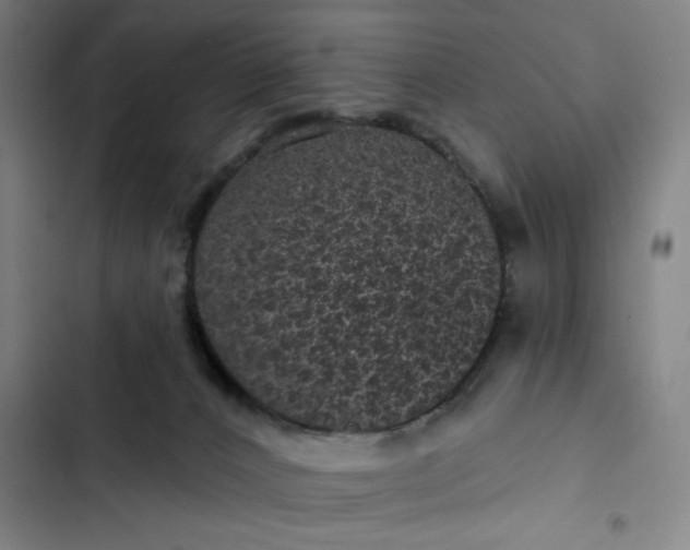 X0000102460032200808221630