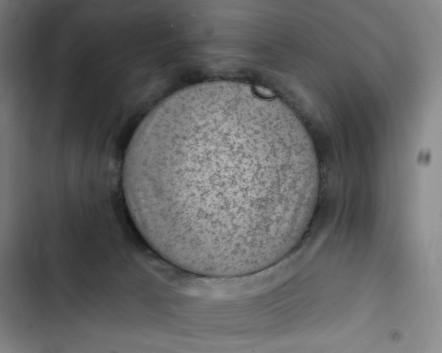 X0000102460033200808221630