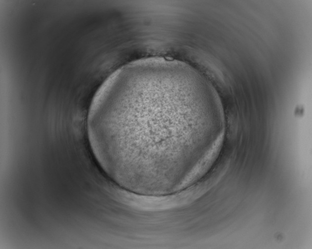 X0000102460034200808221630