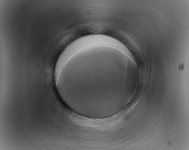 X0000102460035200808221630