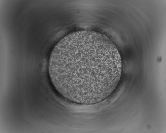 X0000102460036200808221630