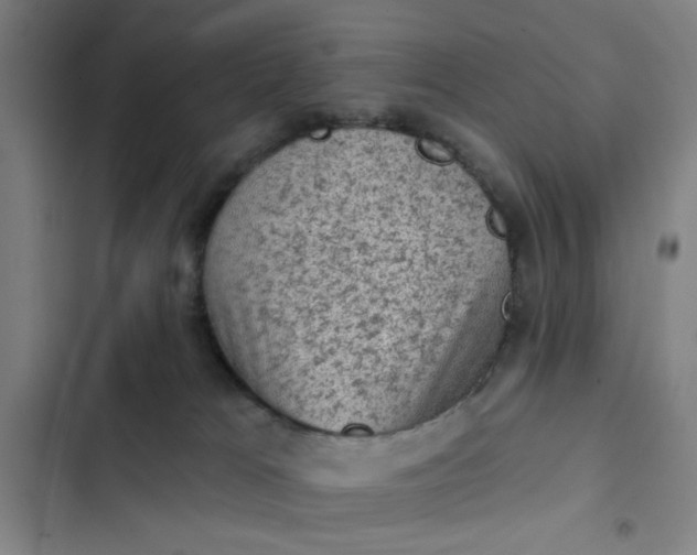 X0000102460037200808221630