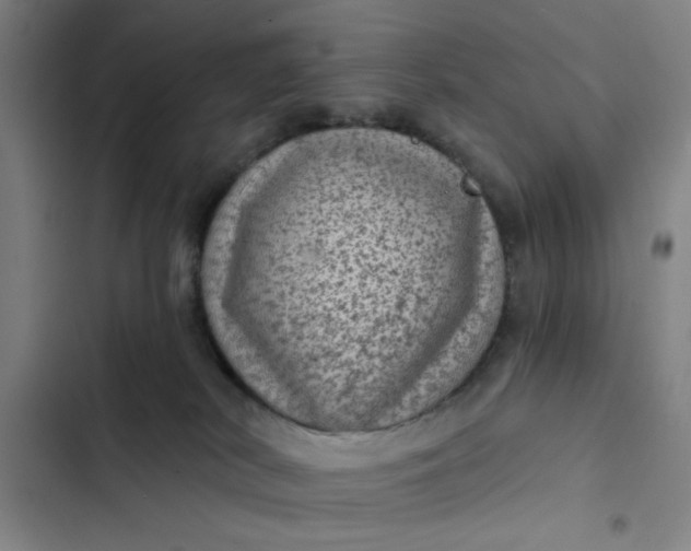 X0000102460038200808221630