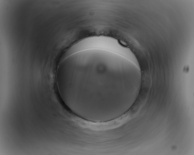 X0000102460039200808221629