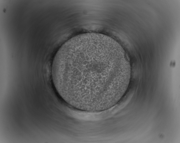 X0000102460040200808221629