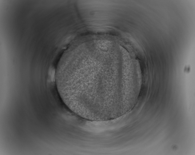 X0000102460041200808221629