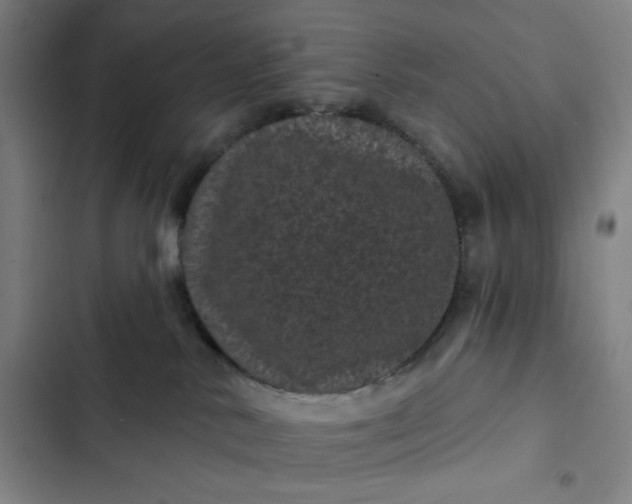 X0000102460042200808221629