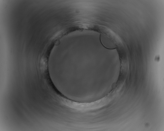 X0000102460043200808221629