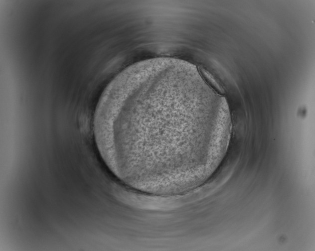 X0000102460044200808221629