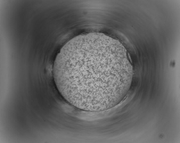 X0000102460045200808221629