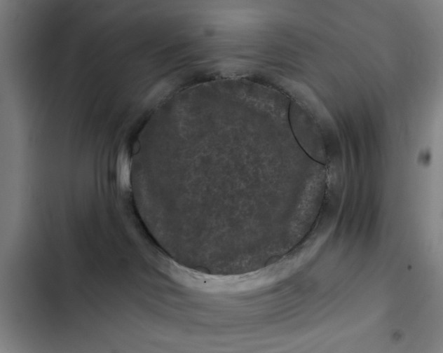 X0000102460046200808221629