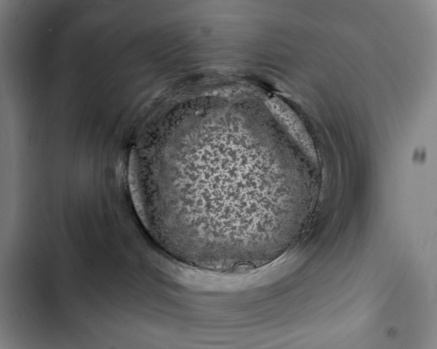 X0000102460048200808221629