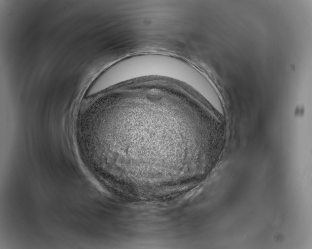 X0000102460049200808221629