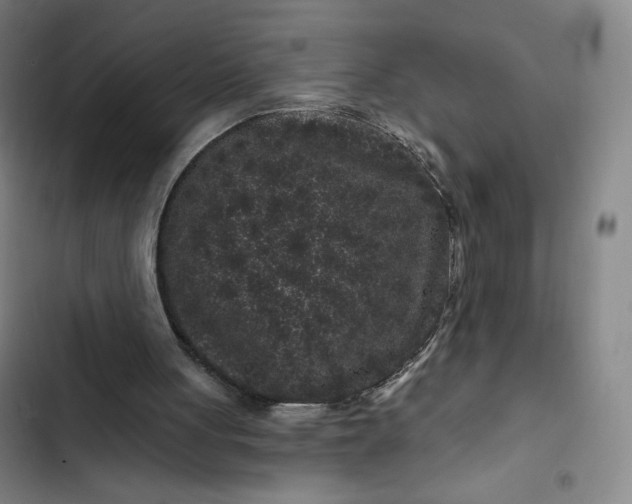 X0000102460051200808221629