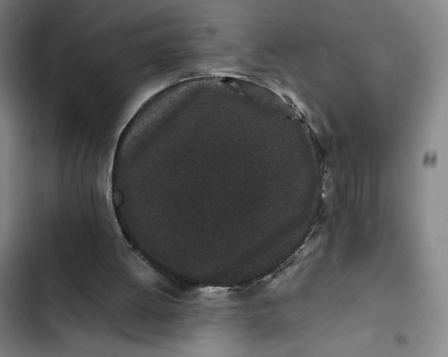 X0000102460052200808221629