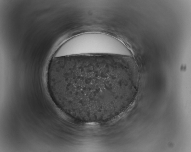 X0000102460053200808221629